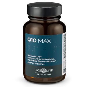 Principium Q10 Max